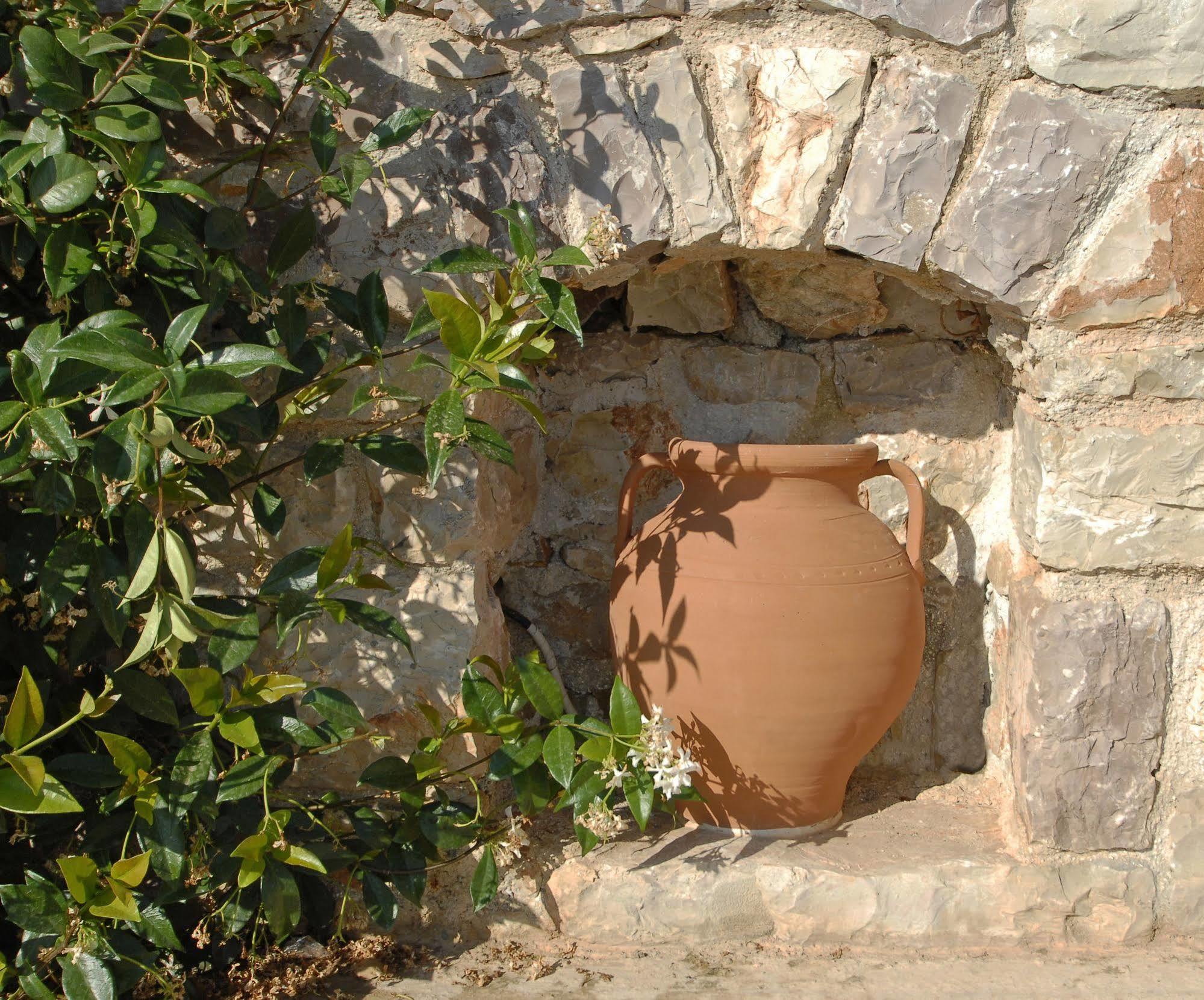 Pantonia Apartments Agia Pelagia  Zewnętrze zdjęcie